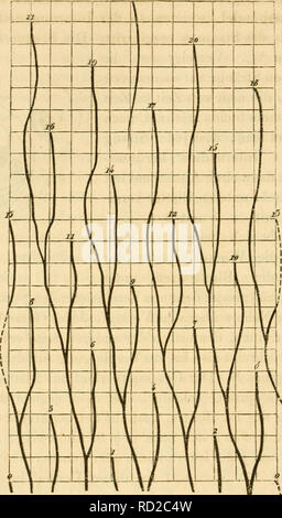 . Das Mikroskop, Theorie und Anwendung desselben. Mikroskope. 622 Morphologie aufweisen.. Abb. 271.. Bitte beachten Sie, dass diese Bilder sind von der gescannten Seite Bilder, die digital für die Lesbarkeit verbessert haben mögen - Färbung und Aussehen dieser Abbildungen können nicht perfekt dem Original ähneln. extrahiert. Nägeli, Carl, 1817-1867; Schwendener, S. (Simon), 1829-1919. Leipsig: W. Engelmann Stockfoto