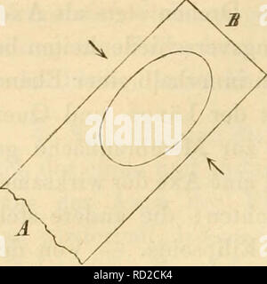 . Das Mikroskop, Theorie und Anwendung desselben. Mikroskope. 322 sterben Polarizationserscheinungen.. Fitr. Ich' 293 Tst^ Ich? (Abb. 172) Ein in der Richtung der Pfeile comprimirtes Farallelepiped von Glas, z. B. das eine Ende des Objectträgers, so hat dessen wirksame Elasticitätsellipse sterben in der Abbildung dargestellte Orientirung. Ein solcher Objectträger er-scheint bei rechtwinkliger Kreuzung der Nicols am hellsten erleuchtet, wenn er mit den Polarizationsebenen derselben einen Winkel von 45° bildet und sich auch in diagonaler Stellung befindet. Er alsdann im weissen Licht erzeugt eine Interferenz Stockfoto
