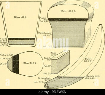 . Elementare Biologie; eine Einführung in die Wissenschaft des Lebens. Biologie. Die Anforderungen an Lebensmittel 97 134. Rexford's Table. Anstatt Gewichte oder die erforderlichen Mengen bis hundert Kalorien zu machen, Herr Frank A. Rexford, des Erasmus-Halle High School in Brooklyn, eine Tabelle, aus der das Protein und die Werte eines Teils der einzelnen eine große Anzahl von Lebensmitteln Artikel, zusammen. Protein 3.6 "Fat 4%, Carbohydmtei Asche. 0,7% Eiweiß 14. S Fett 10,5% - Aih I'l, Protein 13 7, Fett 0,6% Abb. 34. Zusammensetzung der Nahrung die Anteile von Wasser, Protein, Fett, Kohlenhydraten, und mineralischen Materie (Asche Stockfoto