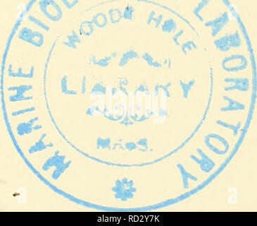 . Die cytologie und Leben - Geschichte der Bakterien. Bakterien. (Aus der experimentellen Forschung) Bild reproduziert. Eine Gruppe von Bacillus fixiert und gefärbt durch unterschiedliche Methoden (1) Diagramm der zytologischen Struktur einer Gruppe von Bazillen in verschiedenen Phasen der Zellteilung. Die obere linke Bazillus ist in vier Zellen durch komplette Mauern geteilt; Kernspaltung beginnt. Die rechte obere Bazillus durch eine komplette Wand unterteilt ist und durch cvtoplasmic Septen allein unterteilt. Die untere Bacillus vor kurzem gespalten hat, und hat nur zwei Zellen. f. ZiV., Zellwand; ^. Z?., wachsende Punkt; 5., zytoplasmatische Septum vor Stockfoto