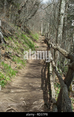 Appalachian Trail am Newfound Gap, Great Smoky Mountains National Park, Grenze von NC und TN. Digitale Fotografie Stockfoto