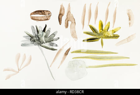 Ausbildung Zeichnung in Sumi-e (suibokuga) Stil mit Wasserfarben - Zeichnungen von Blumen und Gräser sind von Hand auf cremigem Papier gezeichnet Stockfoto