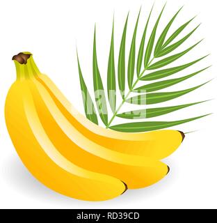 Gesunde, Gelb tropische Früchte. Reifen, saftigen Bananen mit grünen Blättern. Sommer Früchte für gesunden Lebensstil. Bananen Obst flachbild Symbol isoliert auf weißem Stock Vektor
