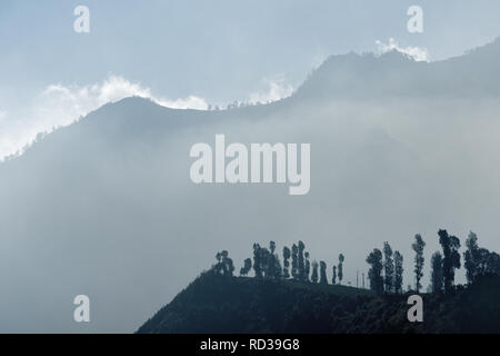 Im ersten Morgenlicht Blick auf die Bergkette von Wolken und Nebel - Ort: Indonesien, Java, Mt umgeben. Bromo Stockfoto