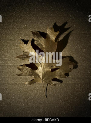 Golden Leaf gegen goldenen Hintergrund, Studio shot Stockfoto