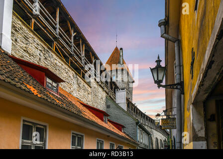 Die alten defensiven Stadtmauer und Turm hinter die Mönche der mittelalterlichen Stadt Tallinn, Estland, in der Dämmerung, an der Küste der Ostsee Stockfoto