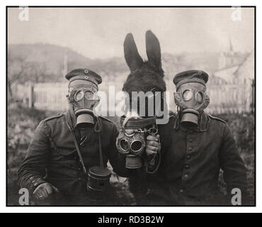 WW 1 Gasmasken Vintage B&W stark Bild der deutschen Soldaten und ihre maulesel Tragen von Gasmasken im Ersten Weltkrieg 1916. Gasen Chlor, Senfgas, Brom und Phosgen, Weltkrieg 1 Ersten Weltkrieg enthalten Stockfoto