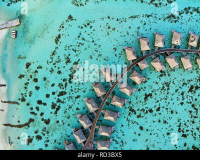 Luftaufnahme von Überwasser Bungalows mit Strohdächern in der Lagune von Moorea in Französisch Polynesien Stockfoto