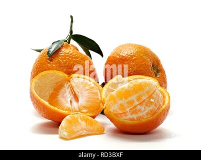 Mehrere Tangerinen mit Stängel und Blätter eine offene mit Split Single Obst. Stockfoto