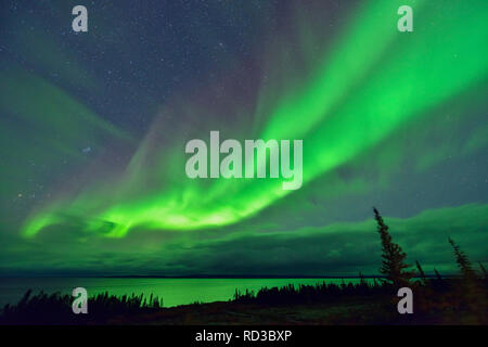 Aurora Borealis über Ennadai Lake, Arktis Haven Lodge, Ennadai Lake, Nunavut, Kanada Stockfoto