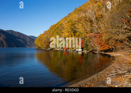 Herbst Landschaft, See Chusenji, Nikko National Park, Nikko, Tochigi, Japan Stockfoto