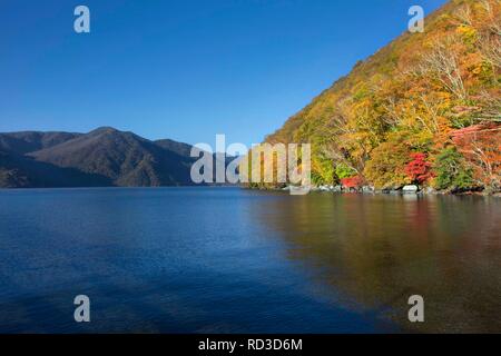 Herbst Landschaft, See Chusenji, Nikko National Park, Nikko, Tochigi, Japan Stockfoto