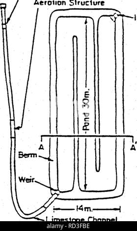 . Hydrochemischen, vegetative und mikrobiologischen Auswirkungen einer natürlichen und eine Pflanzenkläranlage über die Kontrolle von Acid Mine Drainage. Mine Drainage; Acid Mine Drainage; Feuchtgebiete. Outiel Wehr Aerotion Slruclure. Jnlel Wehr • Kalkstein Chonnel DRAUFSICHT Bertn. Bitte beachten Sie, dass diese Bilder sind von der gescannten Seite Bilder, die digital für die Lesbarkeit verbessert haben mögen - Färbung und Aussehen dieser Abbildungen können nicht perfekt dem Original ähneln. extrahiert. Montana State University (Bozeman, Mont.). Reklamation Research Unit; Dollhopf, D. J; MSI Entgiftung, Inc. [Bozema Stockfoto