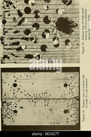 . Deep-ocean biologischen Materialien. Materialien, marinen Sedimenten. 21. Bitte beachten Sie, dass diese Bilder sind von der gescannten Seite Bilder, die digital für die Lesbarkeit verbessert haben mögen - Färbung und Aussehen dieser Abbildungen können nicht perfekt dem Original ähneln. extrahiert. Muraoka, James S; Naval Civil Engineering Laboratory (Port Hueneme, Calif.). Port Hueneme, Calif.: US Naval Tiefbau Labor Stockfoto