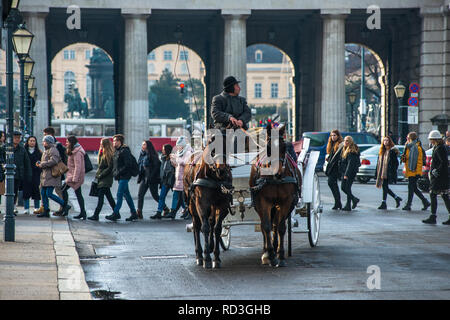 Wien Pferd und Wagen in der Hofburg, Österreich. Stockfoto