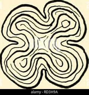 . Die cytologie und Leben - Geschichte der Bakterien. Bakterien. . Bitte beachten Sie, dass diese Bilder sind von der gescannten Seite Bilder, die digital für die Lesbarkeit verbessert haben mögen - Färbung und Aussehen dieser Abbildungen können nicht perfekt dem Original ähneln. extrahiert. Bisset, Kenneth Alexander. Baltimore: Williams und Wilkens Stockfoto