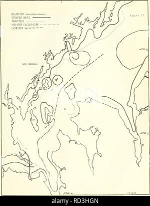 . Davids Insel Phase I: Eine kurzfristige ökologische Umfrage der westlichen Long Island Sound. Meeresbiologie - Long Island Sound (N. Y. und Anschl.); Wasser Chemie; Marine Ökologie - Long Island Sound (N. Y. und Anschl.). . Bitte beachten Sie, dass diese Bilder sind von der gescannten Seite Bilder, die digital für die Lesbarkeit verbessert haben mögen - Färbung und Aussehen dieser Abbildungen können nicht perfekt dem Original ähneln. extrahiert. Sandy Hook Labor; in den Vereinigten Staaten. National Marine Fischerei Service. Region Nordost. Hochland, N. J.: Das Labor Stockfoto