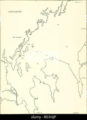 . Davids Insel Phase I: Eine kurzfristige ökologische Umfrage der westlichen Long Island Sound. Meeresbiologie - Long Island Sound (N. Y. und Anschl.); Wasser Chemie; Marine Ökologie - Long Island Sound (N. Y. und Anschl.). Abbildung 3 ZOOPLANKTON 45° 55' N. | 73° 45' W 73° 40' W. Bitte beachten Sie, dass diese Bilder sind von der gescannten Seite Bilder, die digital für die Lesbarkeit verbessert haben mögen - Färbung und Aussehen dieser Abbildungen können nicht perfekt dem Original ähneln. extrahiert. Sandy Hook Labor; in den Vereinigten Staaten. National Marine Fischerei Service. Region Nordost. Hochland, N. J.: Die Stockfoto