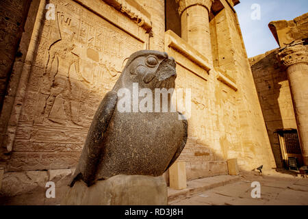 Gott Horus am Tempel von Edfu in Ägypten Stockfoto