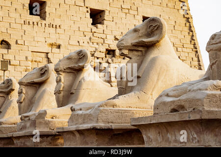 Karnak Tempel sphingen Allee. Ram unter der Leitung Skulpturen vor der Karnak Tempel in Luxor Stockfoto