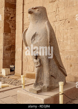 Horus Statue im Tempel des Horus von Edfu, Ägypten Stockfoto