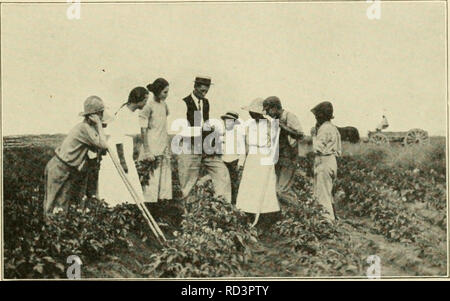 . Elementare Landwirtschaft. Die Landwirtschaft. BOYS' UND CLUBS GIELS 235 Kartoffel Clubs. Cumberland County im Osten Zehn nessee Lias ein Schüler 'Potato Club, dass die Landwirte in diesem Abschnitt gelehrt hat eine wichtige les-Sohn. Es war angenommen worden, dass Kartoffeln nicht rentabel waren Erntegut in diesem Staat. Es wurde behauptet, dass die Kosten der es Heben ein Hektar Kartoffeln, includ-. Mit freundlicher Genehmigung von US Abt. Landwirtschaft Abb. 114. Idaho Jungen und Mädchen empfangen Feld Anweisungen auf die Krankheiten der Kartoffel. ing Arbeit, Dünger, und die Miete des Landes, war über 75 $ pro Acre, während das Erntegut hith angehoben Stockfoto