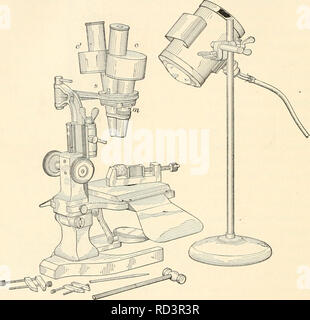 . Elementare chemische Mikroskopie. Mikroskopie; Mikrochemie. 72 elementaren chemischen Mikroskopie das Instrument in fast jeder Position und die Geschwindigkeit, mit der sich die großen Bereiche geprüft werden kann, alle kombinieren diese Art des Instruments in den Branchen unverzichtbar zu machen. Eine der am meisten befriedigende der Modelle dieses Instru- ment l ist in Abb. dargestellt. 30, 31. Die verschiedenen Zahlen zeigen. Abb. 30. Spencer Objektiv Co.Greenough-Type binokulares Mikroskop; Bausch &Amp; Lomb Lampe; Starrett Schellen; für die Entfernung von winzigen Fragmenten für mikroskopische qualitative Analyse angeordnet. ing Die microscop Stockfoto