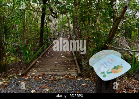 Die Vielfalt der Promenade am Cape Hillsborough National Park, Queensland, Australien Stockfoto