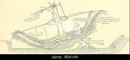. Cyclopedia der amerikanischen Gartenbau, bestehend aus Anregungen für den Anbau von Gartenpflanzen, Beschreibungen der Arten von Obst, Gemüse, Blumen und Zierpflanzen in den Vereinigten Staaten und in Kanada verkauft, zusammen mit geographischen und Biographische Skizzen. Im Garten arbeiten. 2548 Die Wurzeln gewickelt und den Baum auf Kufen im Alter von zu dick Mulch bewegt wird, Tiefe, überschüssiges Wasser oder fehlenden Abflüsse, alle whieh der Luft auszuschließen. De-caying Dünger und Düngemittel in direkten Kontakt mit den Wurzeln sind schädlich. Der Baum kann von Guy Kabel gesichert werden. Anker Beiträge eingestellt sind Stockfoto