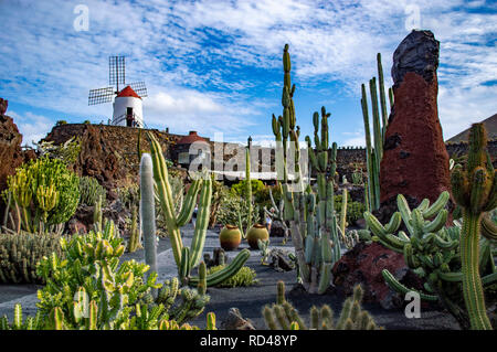 Der Jardin de Cactus in Lanzarote, Kanarische Inseln Stockfoto