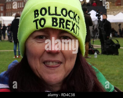 London, Großbritannien. Januar 16th, 2019. Anita Harris aus Wales, hat nach London für zwei Tage kommen, fliegen die europäische Flagge in der Nähe der Houses of Parliament in der Unterstützung der verbleibenden in der EU. Credit: Joe Kuis/Alamy leben Nachrichten Stockfoto