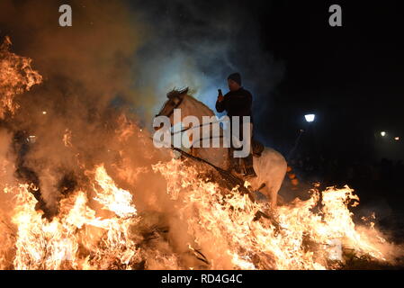 Januar 16, 2019 - San Bartolome de Pinares, Vila, Spanien - ein Mann reitet auf einem Pferd durch ein Lagerfeuer als Teil eines Rituals zu Ehren des heiligen Antonius, dem Schutzpatron der Haustiere, in San Bartolome de Pinares, Spanien. Quelle: John milner/SOPA Images/ZUMA Draht/Alamy leben Nachrichten Stockfoto