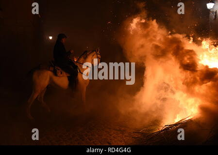 Januar 16, 2019 - San Bartolome de Pinares, Vila, Spanien - ein Mann seine Umdrehung reitet auf einem Pferd durch ein Lagerfeuer warten, bis es als Teil eines Rituals zu Ehren des heiligen Antonius, dem Schutzpatron der Haustiere, in San Bartolome de Pinares, Spanien. Quelle: John milner/SOPA Images/ZUMA Draht/Alamy leben Nachrichten Stockfoto