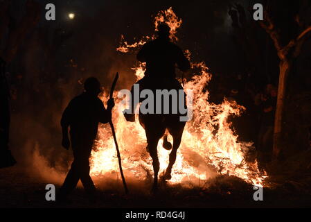 Januar 16, 2019 - San Bartolome de Pinares, Vila, Spanien - ein Mann reitet auf einem Pferd durch ein Lagerfeuer als Teil eines Rituals zu Ehren des heiligen Antonius, dem Schutzpatron der Haustiere, in San Bartolome de Pinares, Spanien. Quelle: John milner/SOPA Images/ZUMA Draht/Alamy leben Nachrichten Stockfoto