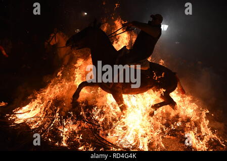 Januar 16, 2019 - San Bartolome de Pinares, Vila, Spanien - ein Mann reitet auf einem Pferd durch ein Lagerfeuer als Teil eines Rituals zu Ehren des heiligen Antonius, dem Schutzpatron der Haustiere, in San Bartolome de Pinares, Spanien. Quelle: John milner/SOPA Images/ZUMA Draht/Alamy leben Nachrichten Stockfoto