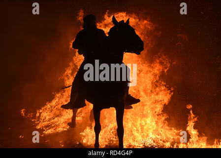 Januar 16, 2019 - San Bartolome de Pinares, Vila, Spanien - ein Mann reitet auf einem Pferd durch ein Lagerfeuer als Teil eines Rituals zu Ehren des heiligen Antonius, dem Schutzpatron der Haustiere, in San Bartolome de Pinares, Spanien. Quelle: John milner/SOPA Images/ZUMA Draht/Alamy leben Nachrichten Stockfoto