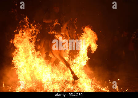 Januar 16, 2019 - San Bartolome de Pinares, Vila, Spanien - ein Mann reitet auf einem Pferd durch ein Lagerfeuer als Teil eines Rituals zu Ehren des heiligen Antonius, dem Schutzpatron der Haustiere, in San Bartolome de Pinares, Spanien. Quelle: John milner/SOPA Images/ZUMA Draht/Alamy leben Nachrichten Stockfoto