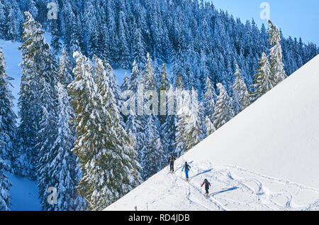 Nesselwang, Bayern, Deutschland. 16. Januar, 2019. Ski Tour Wanderer zu Fuß auf den Berg Alpspitz in gefährlichen Lawine Bereich trotz der Lawinengefahr und Warnschilder in Nesselwang, Allgäu, Bayern, Deutschland, 16. Januar 2019. © Peter Schatz/Alamy Live News Credit: Peter Schatz/Alamy leben Nachrichten Stockfoto