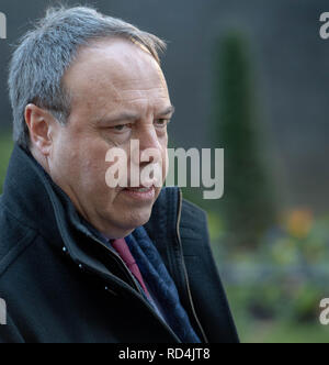 London 17 thJanuary 2019, Nigel Dodds des DUP verlassen 10 Downing Street nach einem Treffen mit Theresa May MP PC, Premierminister auf Brexit London Credit Ian Davidson/Alamy leben Nachrichten Stockfoto