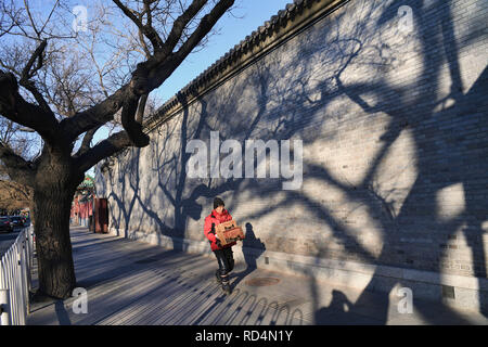 (190117) - Peking, Jan. 17, 2019 (Xinhua) - DELIVERYMAN Yang Hongyi trägt Pakete entlang einer Straße in der Nähe der Verbotenen Stadt in Peking, die Hauptstadt von China, Jan. 15, 2019. In fast drei Jahren Arbeit als deliveryman in der Nähe der Verbotenen Stadt, 44-jährige Yang Hongyi hat mehr als 100.000 Pakete ohne auch nur eine negative Bewertung von seinen Kunden geliefert. Yang Werke von Dämmerung zu dunklen jeden Tag, während der er über 200 Pakete zu liefern und über 200 Anrufe zu Kunden machen. Wie das Frühlingsfest Ansätze, Yang hat jeden Tag eine extra 100 Pakete liefern. M Stockfoto