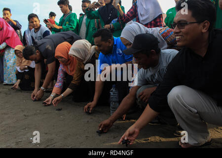 Aceh Utara, Aceh, Indonesien. 17 Jan, 2019. Studenten gesehen die Freigabe Schildkröten auf das Meer nach der Erhaltung. Dutzende von indonesischen Studenten freigegeben die Art der Baby Lekang Schildkröte (Lepidochelys olivacea) nach Durchführung von Erhaltungsmaßnahmen an der Küste von North Aceh Regency, Provinz Aceh, Indonesien. Nach Angaben der Internationalen und der Erhaltung der natürlichen Ressourcen (IUCN) der sieben Arten von Schildkröten in der Welt, die in der roten Liste der Tiere, die vom Aussterben bedroht sind. Credit: ZUMA Press, Inc./Alamy leben Nachrichten Stockfoto