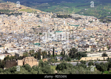 Fez Skyline Stockfoto