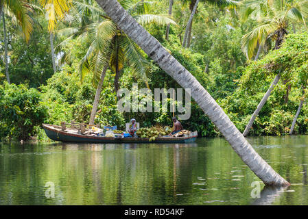 Dorfbewohner Boot auf Poovar Backwaters voller Kokosnüsse und Obst, Kerala, Indien Stockfoto