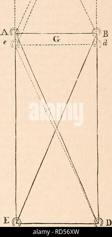 . Die cyclopaedia von Anatomie und Physiologie. Anatomie, Physiologie, Zoologie. 452. Die von der posterioren; dadurch wird in der Regel der Schwerpunkt ein wenig im Voraus in der Mitte des viereckigen Abbildung durch die vier Beine der Vierbeiner auf der Ebene der Position beschrieben zu werfen. Obwohl die Gebeine der posterioren Extrem - mities Miteinander in einer größeren Schräge geneigt sind, als die der anterioren, sie haben die calcaneum deutlich über der Achse des calcaneo-tibial Artikulation projizieren, so dass, mit dem Vorteil einer leistungsstarken le-ver, die wasteof muskulöse Kraft ist Stockfoto