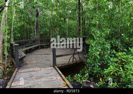 Die Vielfalt der Promenade am Cape Hillsborough National Park, Queensland, Australien Stockfoto