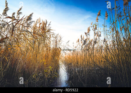 Großen Pönitzer See, pönitz am See, Schleswig-Holstein, Deutschland, Europa, Großer Pönitzer See, pönitz am See, Schleswig-Holstein, Deutschland, Eur Stockfoto