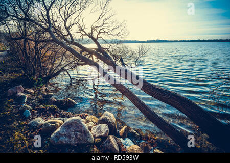 Großen Pönitzer See, pönitz am See, Schleswig-Holstein, Deutschland, Europa, Großer Pönitzer See, pönitz am See, Schleswig-Holstein, Deutschland, Eur Stockfoto