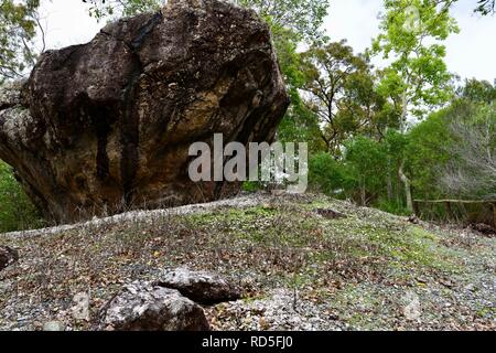 Aboriginal shell Midden die Vielfalt boardwalk am Cape Hillsborough National Park, Queensland, Australien Stockfoto