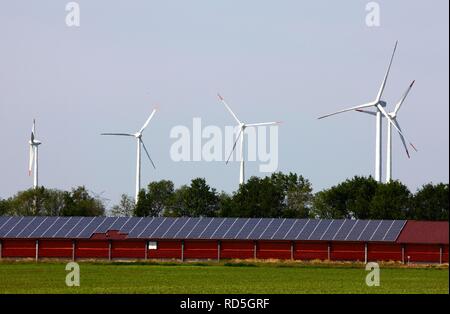 Windparks, Solar Energie durch Sonnenkollektoren produziert auf einem großen Stall in der Nähe von Rhede Ems, Niedersachsen Stockfoto