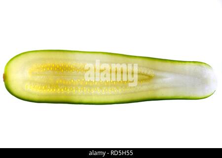 Zucchini (Cucurbita pepo), in Scheiben geschnitten Stockfoto